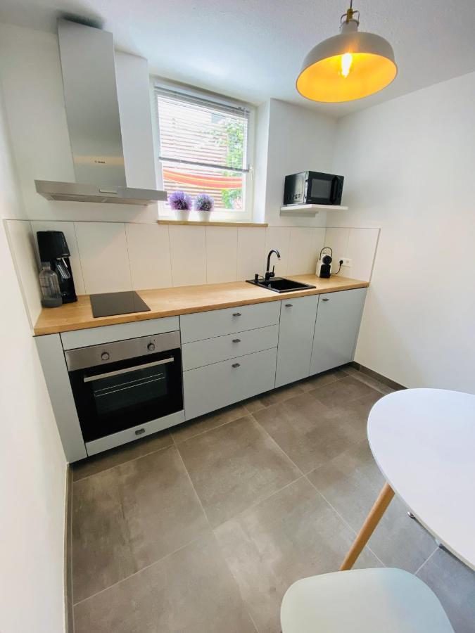 Apartment Regener Lörrach Dış mekan fotoğraf